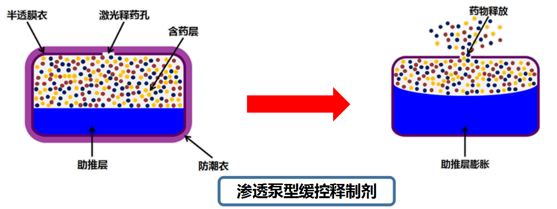 3)部分緩釋片製劑工藝中包含微囊結構和某些骨架片結構,是能掰開服用