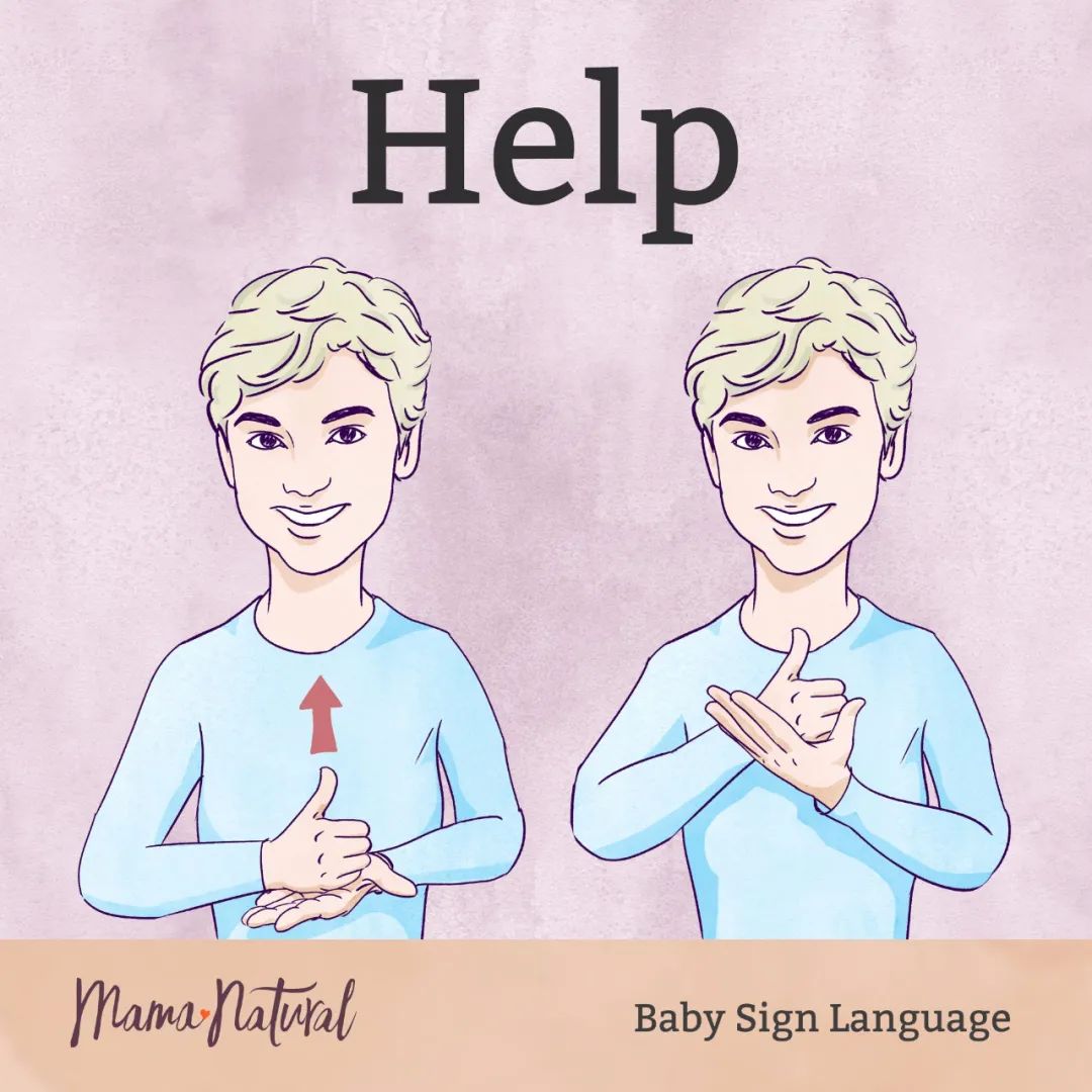 婴儿期的手语训练才是真正的早教