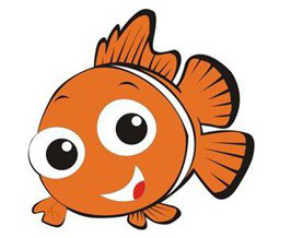 金鱼眼:"金鱼眼"的人眼球外凸,做了双眼皮反而会使人觉得眼球愈加外突