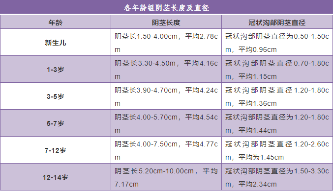 带你了解阴茎的整个发育过程，你发育正常吗？_邵军__爱问健康