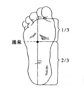 长寿不老穴—涌泉穴