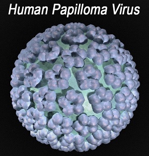 hsv二型病毒图片图片