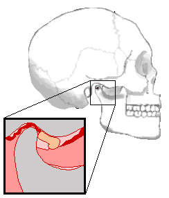 军医大学口腔医院都有个科叫"关节病科",这里的关节就是指颞下颌关节