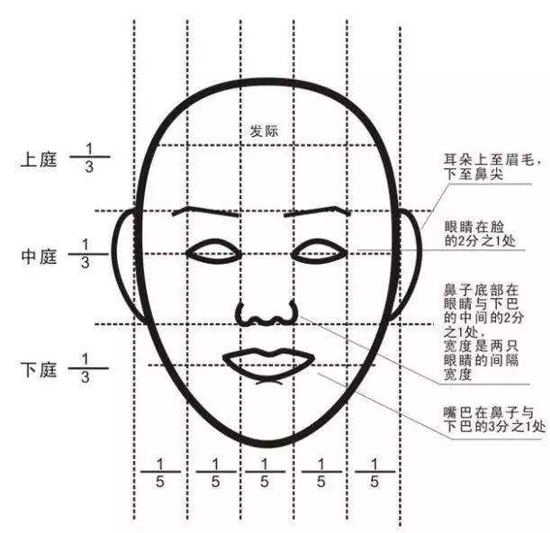 头面部分区图片