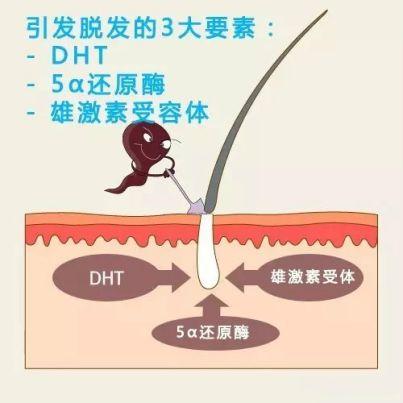 科普文章詳情