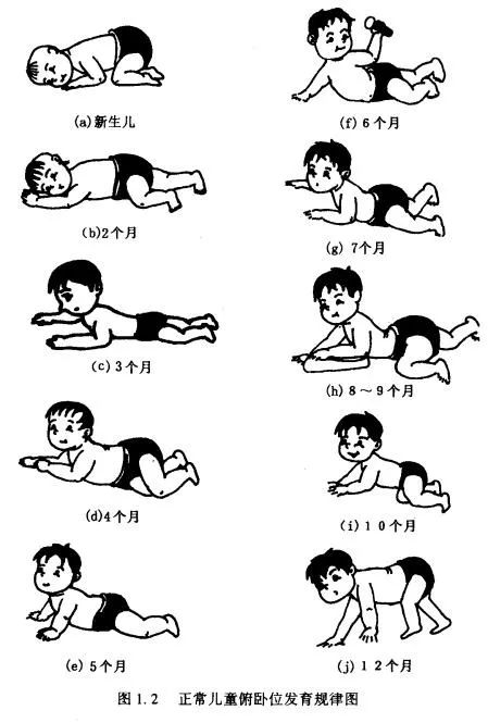 一张图了解儿童俯卧位姿势发育的规律