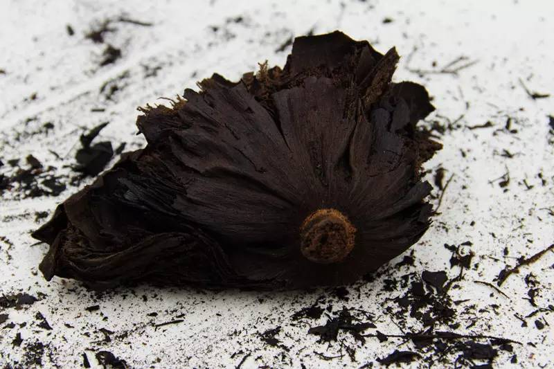 治疗崩漏的莲房用的可不是晒干的莲房,而是莲房炭.