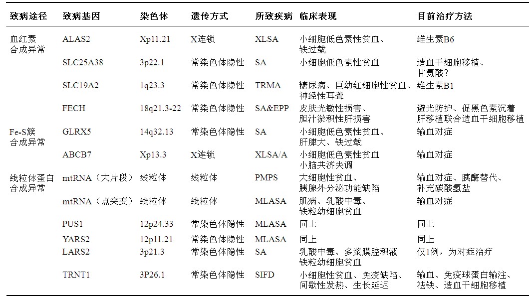 sideroblastic anemia, csa)为先天性基因异常影响线粒体中铁代谢致病