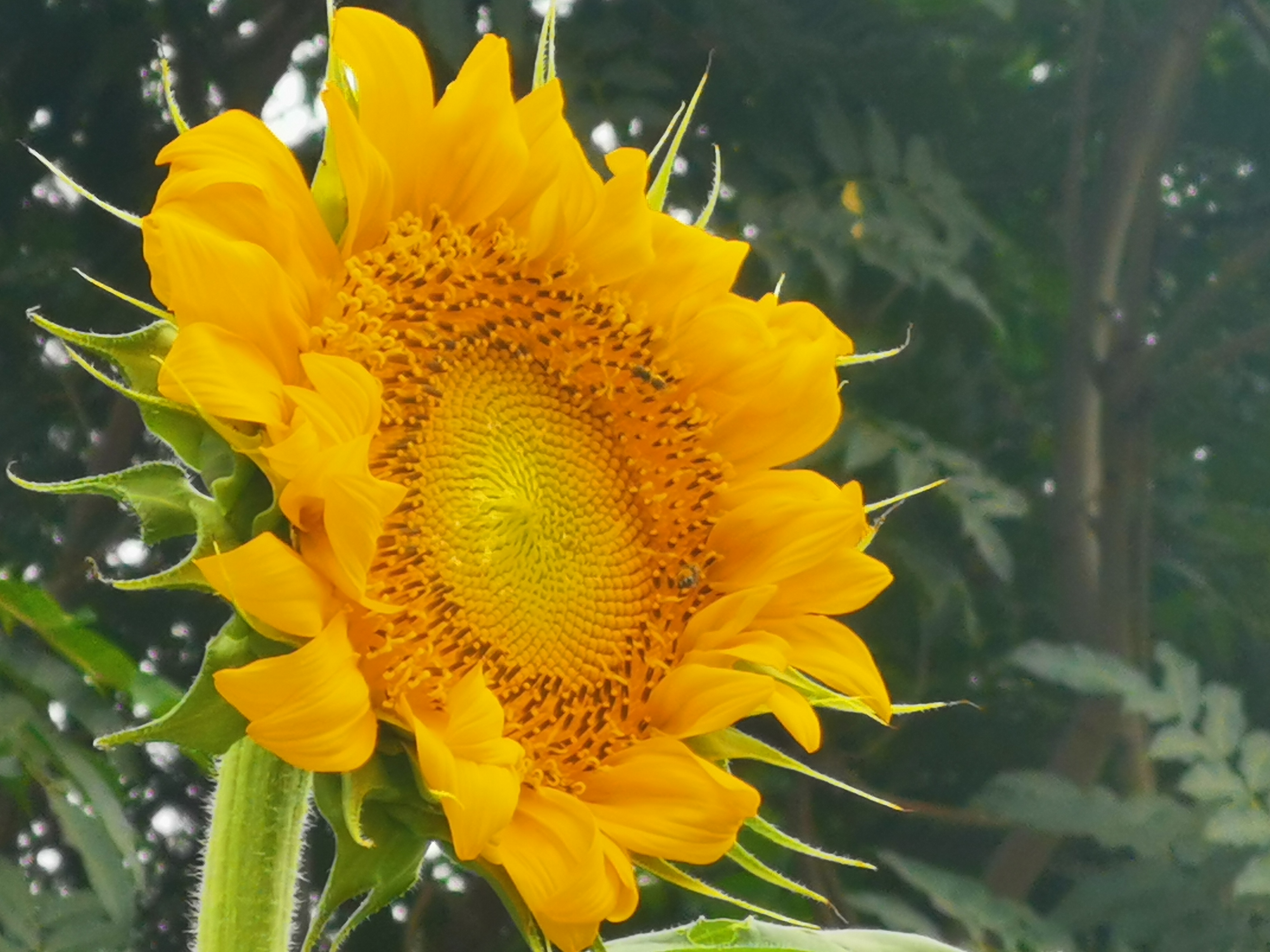 医者仁心是全方位的要求 韩文勇主任医师 爱问医生