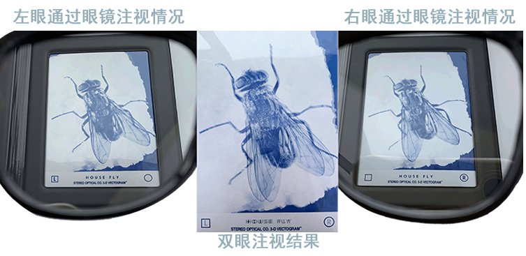 史上最完整的titmus立体视检查教程