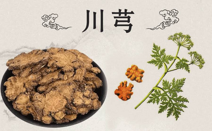 活血化瘀圣药:川芎—活血行气,祛风止痛