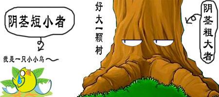 注意小阴茎需要和阴茎畸形鉴别,如蹼状阴茎,隐匿性阴茎等,这些多需要