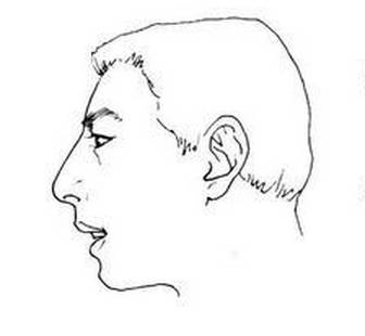 什么样的鼻子才好看反正我知道依葫芦画瓢复制肯定不会好看