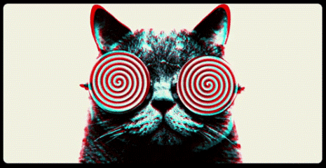 465_240gif 动态图 动图