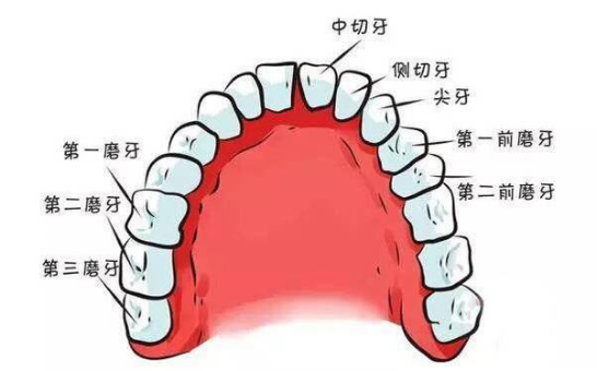 告别龋齿?靠窝沟封闭就可以吗?