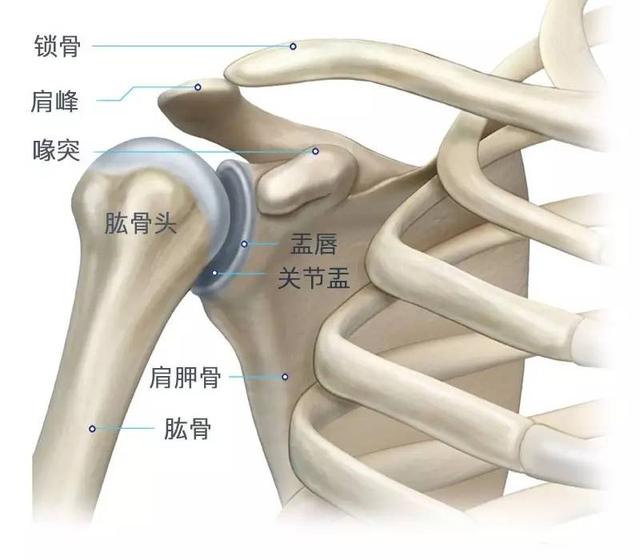 肩膀脱臼能像古装片一样,一抖就好?专家:满足1个条件你也可以