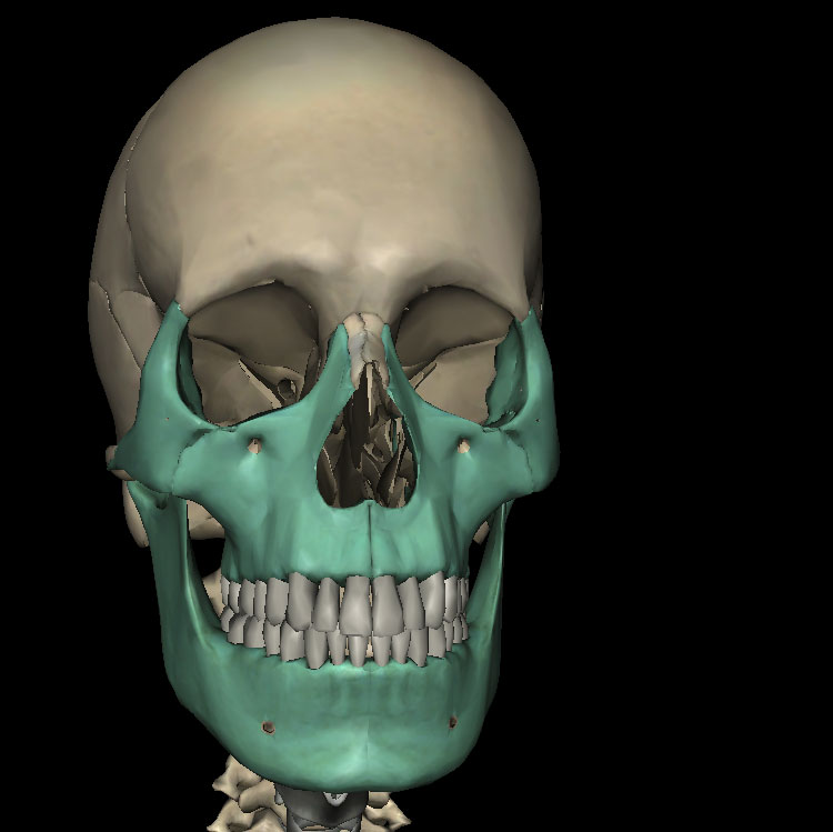 般改脸效果的双鄂手术,能改善的范围也是有限的,可以这么说,加上颧骨