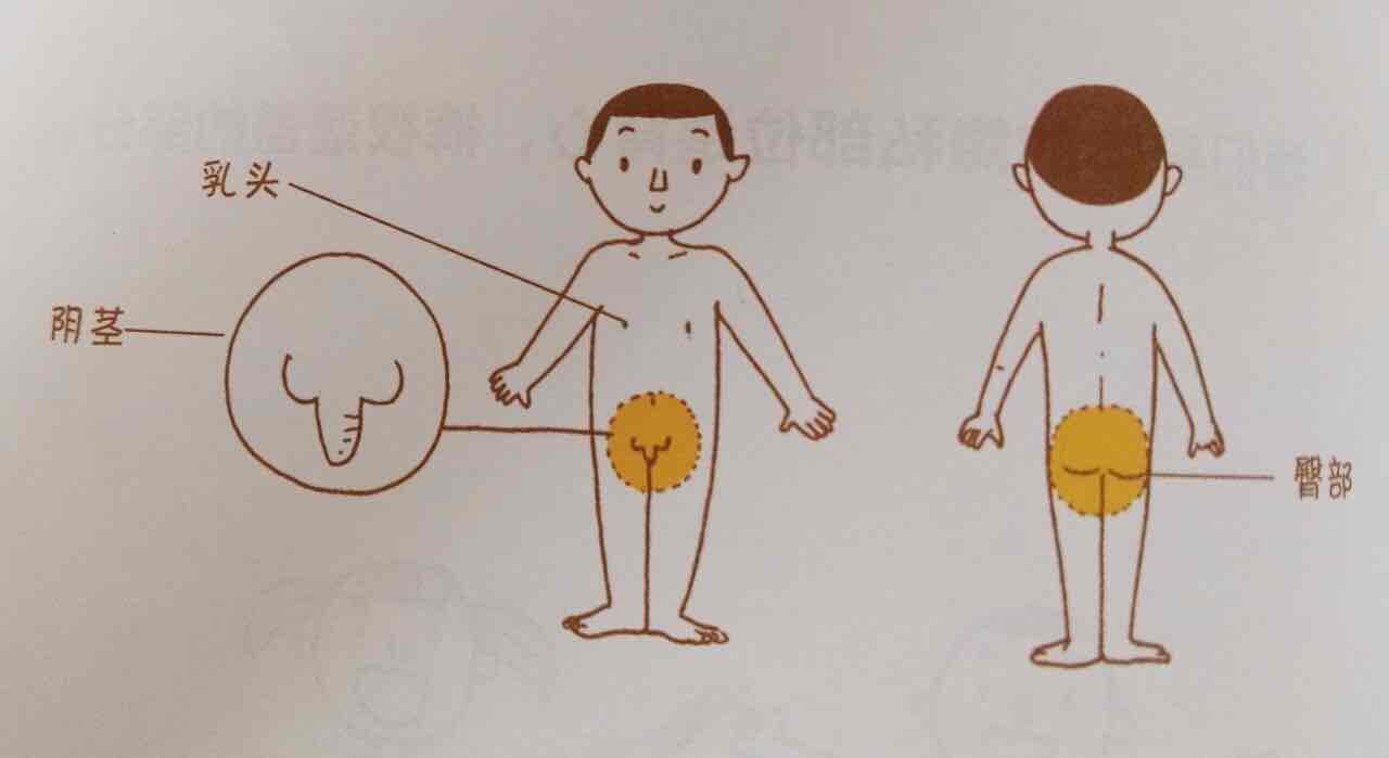 儿童性教育之性生理