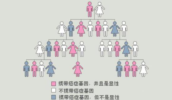 对于遗传性脱发有些父母不脱发,但是祖辈有脱发的,也会产生隔代遗传