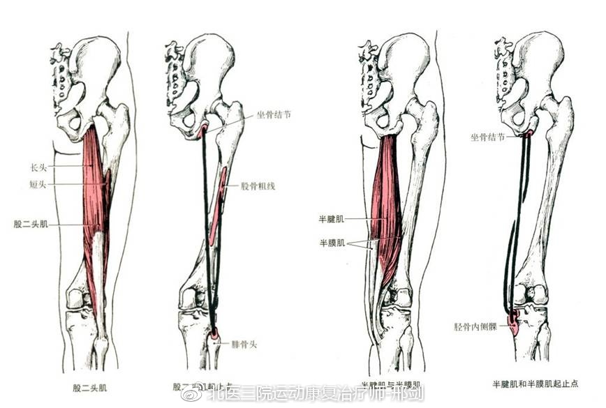 博尔特究竟伤哪了?