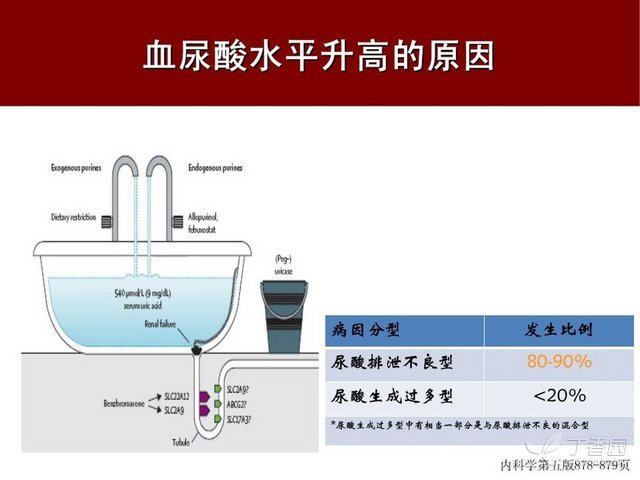 痛风定胶囊降尿酸原理图片