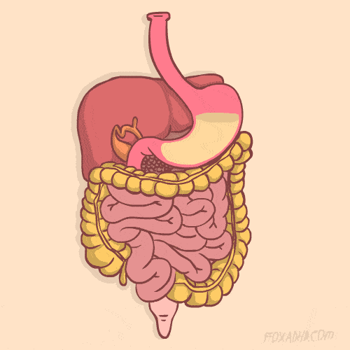食道癌早期的4种症状很多人不当回事