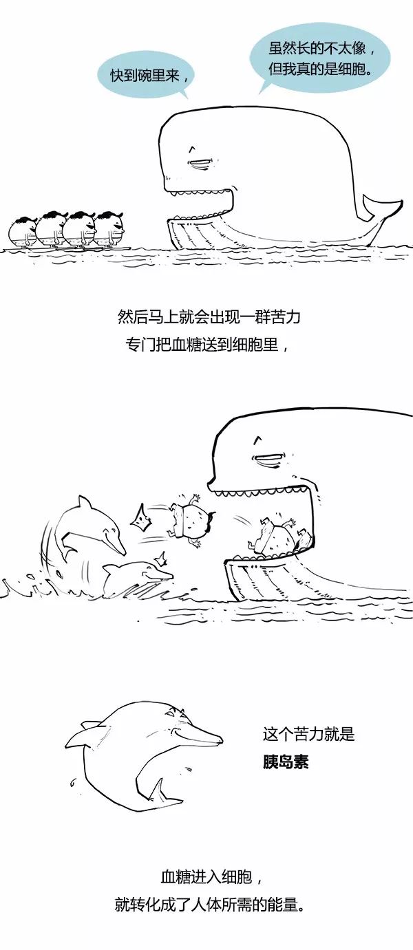 糖尿病为什么可怕？这组漫画说太清楚了！