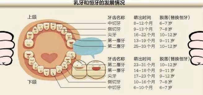 可以进行矫正,因为矫正没有严格的年龄限制,而且成人有比较好的自制力