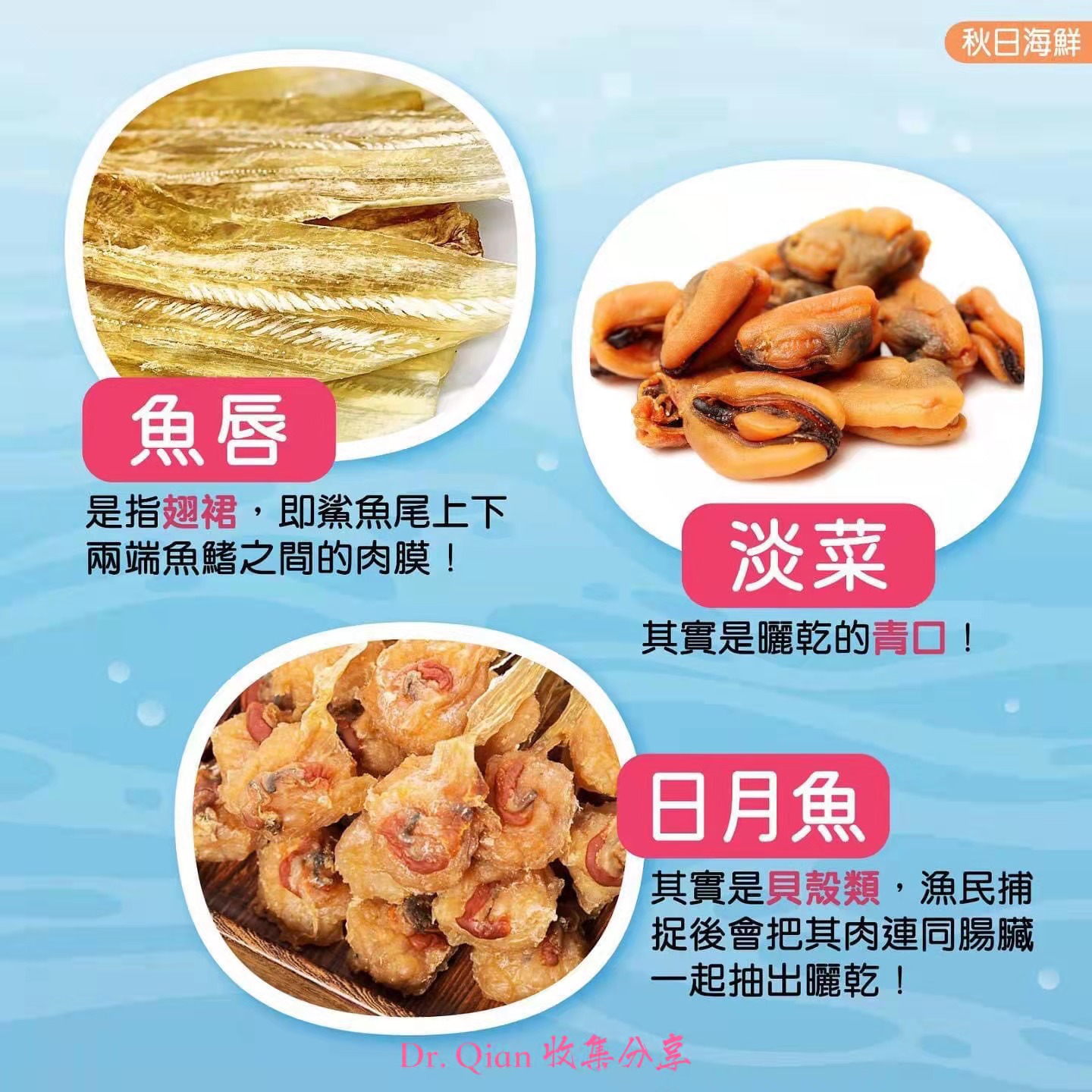 海产真身是什么 钱辉主治医师 爱问医生