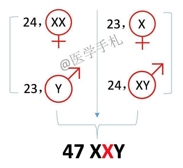 胎儿染色体47,xxy,这个孩子我能要吗?