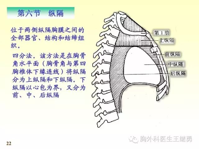 简单说纵隔就是心脏周围,两肺之间的这些组织的总称.