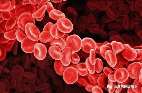 由于某些原因使血浆中水分丢失,血液浓缩,使红细胞和血红蛋白含量