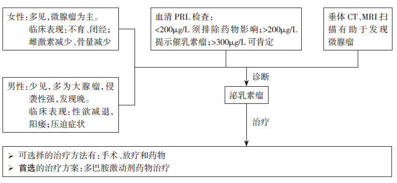 垂体泌乳素腺瘤