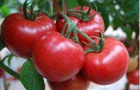 健康的皮肤最好色 健康的皮肤最好色