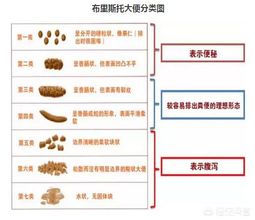 儿童便秘的治疗护理