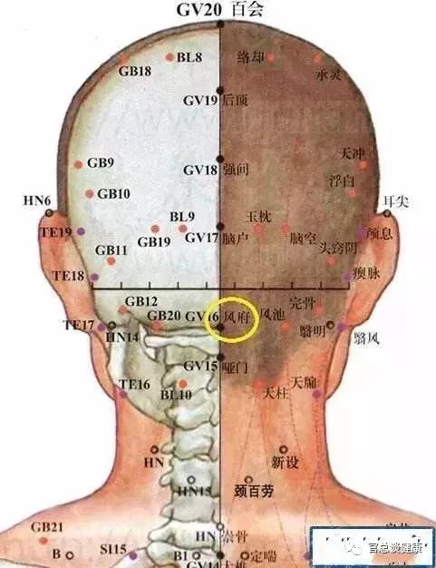 三百六十穴定位速記歌訣!人人都該收藏