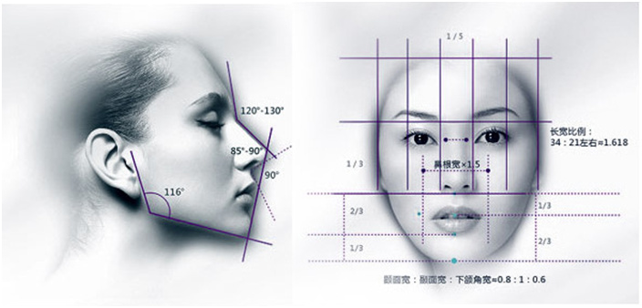 东方女性理想鼻型标准