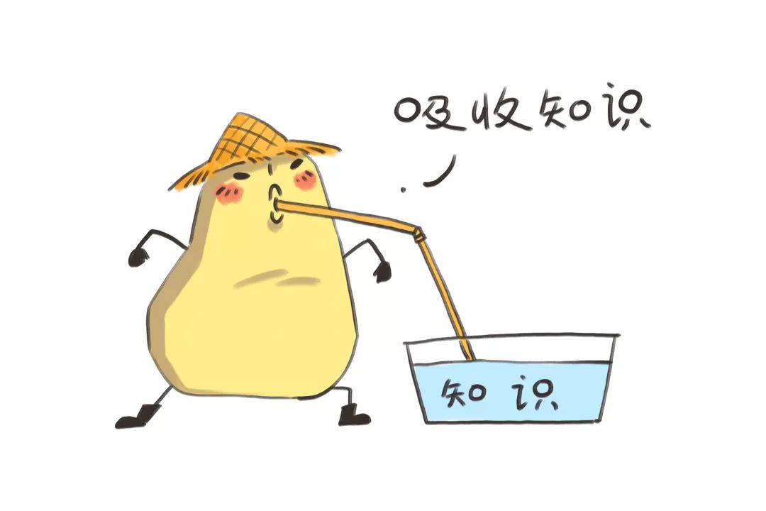 真心爱我脂肪君吧理由很充分