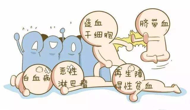 造血干细胞移植已成为治疗造血系统恶性肿瘤的方法之一,给恶性血液病