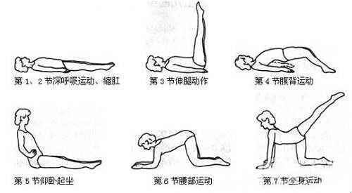 女性漏尿最佳锻炼方法图片