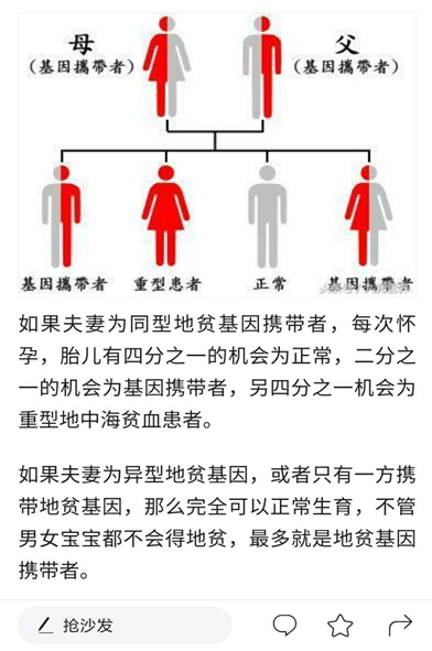 男性蚕豆病遗传规律图图片