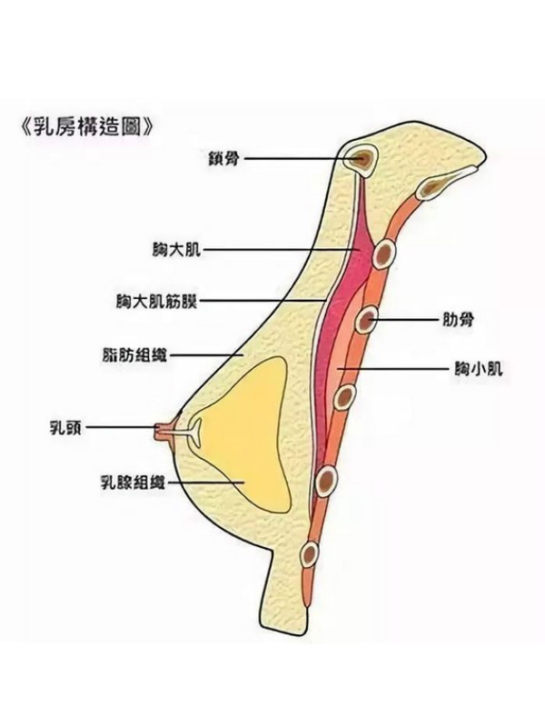 選擇:擁有術後形態好,手感好,術後恢復快,胸大肌收縮乳房不變形等優點