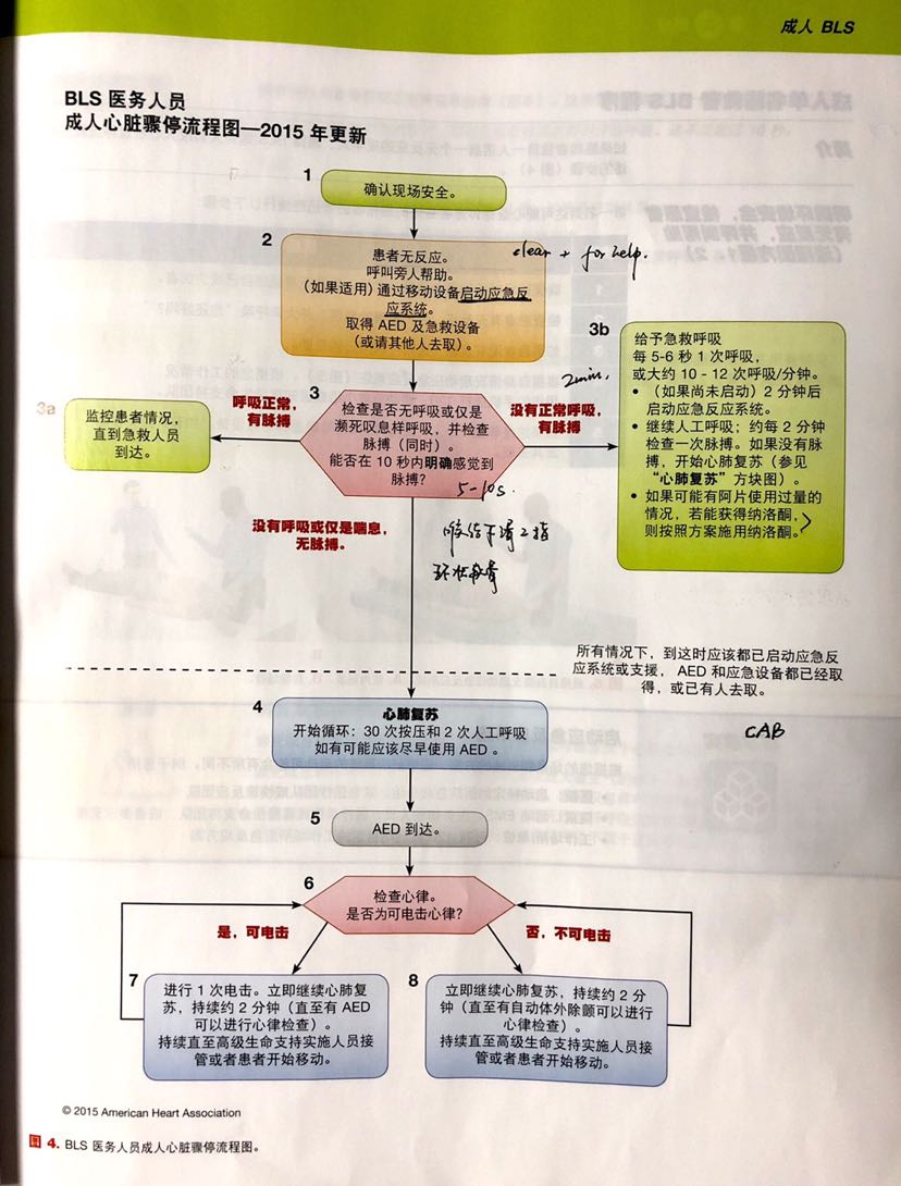 基础生命支持