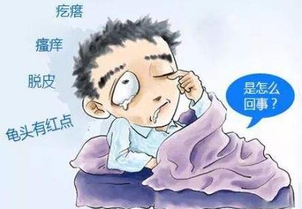新浪（移动端）
