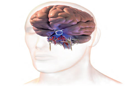 很多良性肿瘤早期进行手术全切的话,对于患者以后的生活也不会有很大