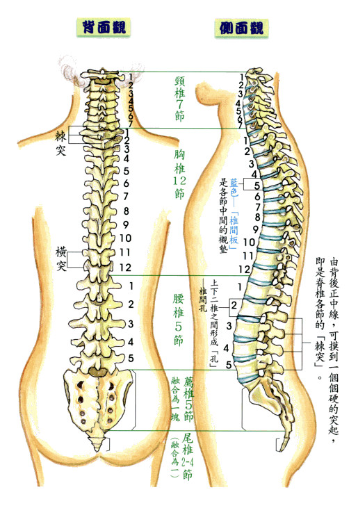 骨错缝·筋出槽--爱问医生