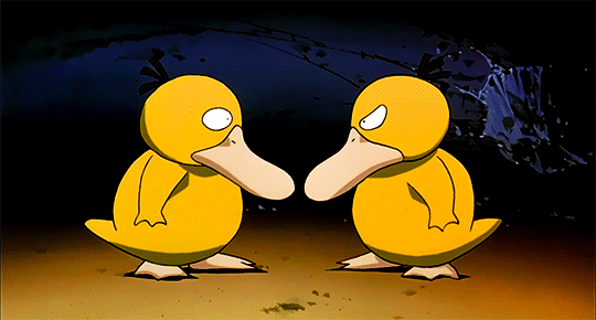 540_290gif 动态图 动图