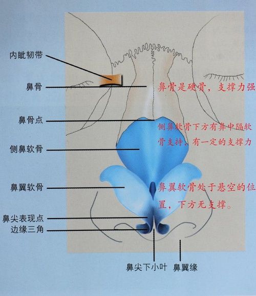 为什么还有人问我隆鼻精油是否有效