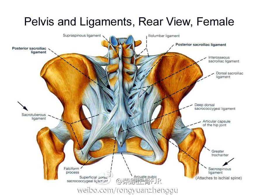 骶髂关节紊乱复位尿频解除临床推拿正骨记录