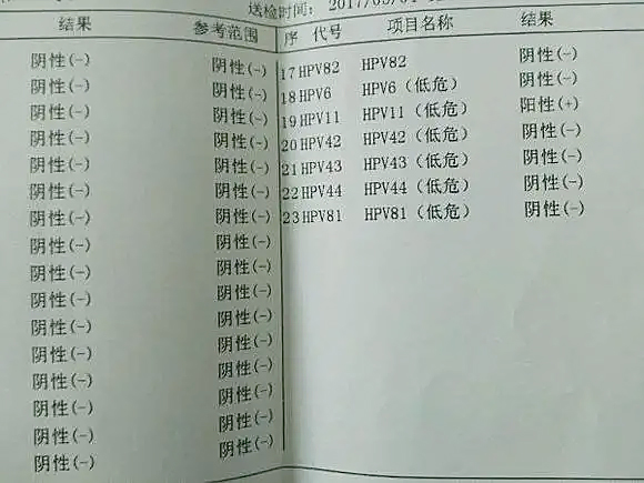 通辽地区的空调行业：派特灵新风系统的市场表现与未来发展展望